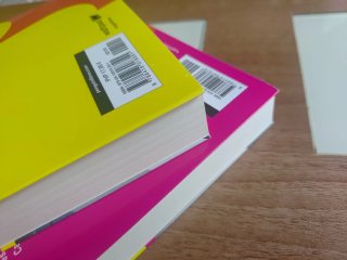 Mentiras y secretos / Lies and Secrets
