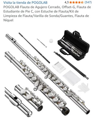 Flauta travesera