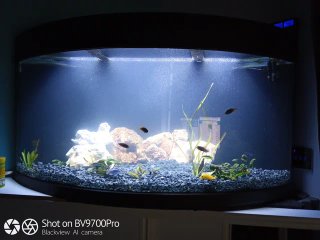 Acuario Esquinero 350L