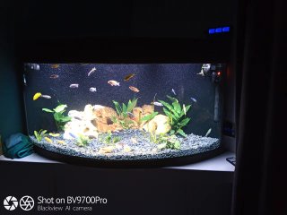 Acuario Esquinero 350L