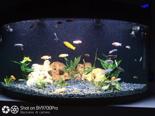 Acuario Esquinero 350L