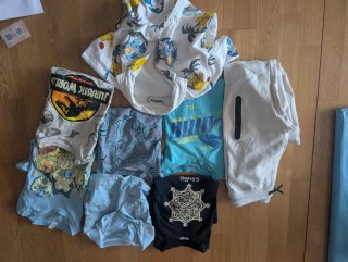 Lote Ropa Infantil 7-8 Años