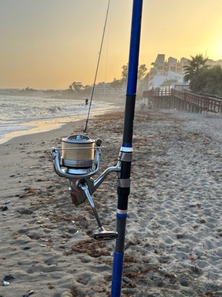 Pareja solo cañas surfcasting Vercelli nessuna