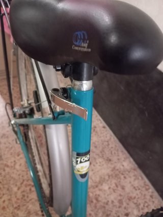 Bicicleta de paseo azul