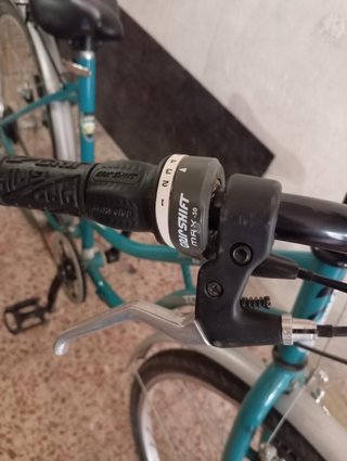 Bicicleta de paseo azul