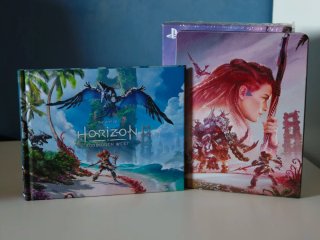 Horizon Forbidden West PS4 Edición Especial
