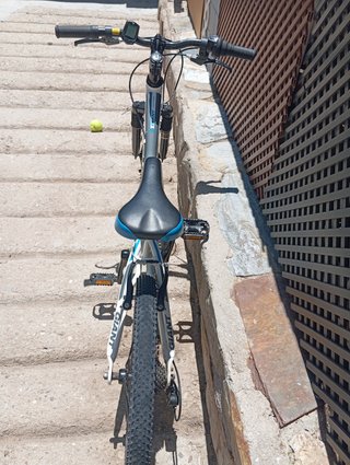 Bicicleta Giant XCT 20 pollici
