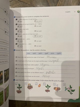 Libro INGLES ACTIVITY BOOK 3ºPRIMARIA BYME.