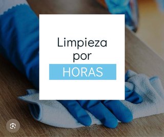 Limpieza por horas particular