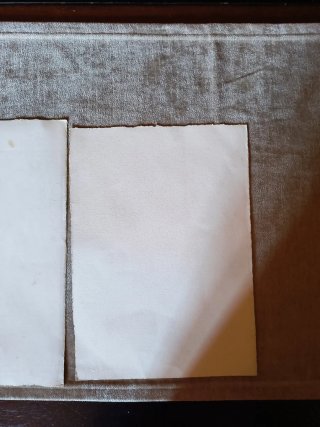 Láminas botánicas papel artesanal