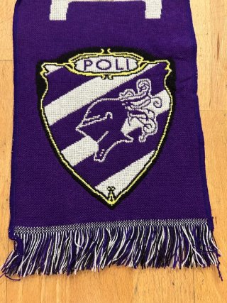 Lote Sciarpe Calcio Collezione Parma, Pisa, ecc.