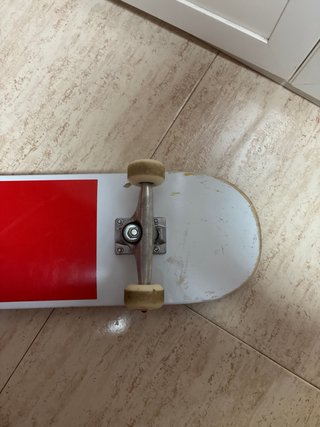 Skate Globe