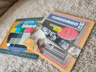 Lote de 23 Revistas "Micro Dingo" (y 22 CD)