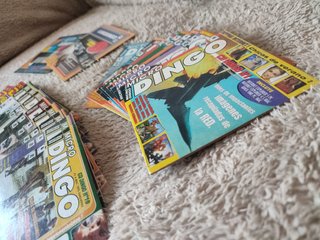 Lote de 23 Revistas "Micro Dingo" (y 22 CD)