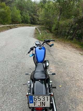 Harley Davidson Sportster XL1200L