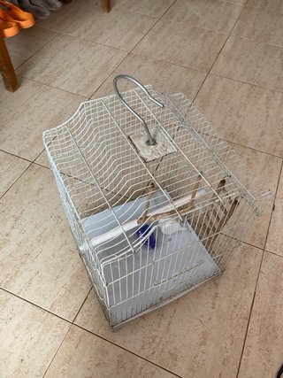 Jaula para pájaros blanca