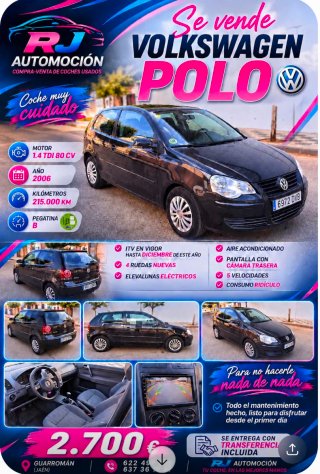 Volkswagen Polo 2006