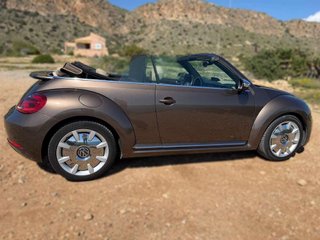 VOLKSWAGEN beetle