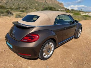 VOLKSWAGEN beetle