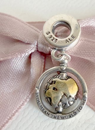 Pandora You Mean The World To Me Charm