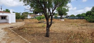 Chalet con 4000 metros de parcela segregada,