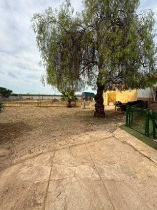 Servicios de Jardinería y Mantenimiento