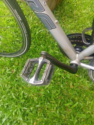 Bicicleta Berg Fuego 8.1 FB