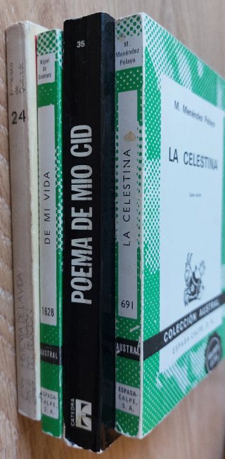 Lote 4 libros Literatura Española clásica