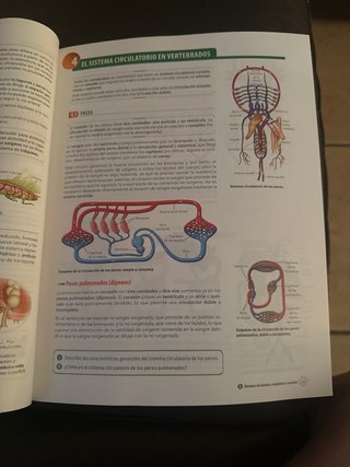 Biología, Geología y Ciencias Ambientales 1 Bac...