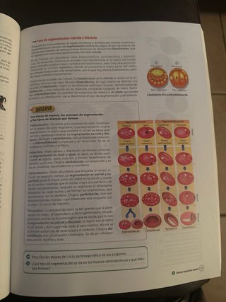 Biología, Geología y Ciencias Ambientales 1 Bac...