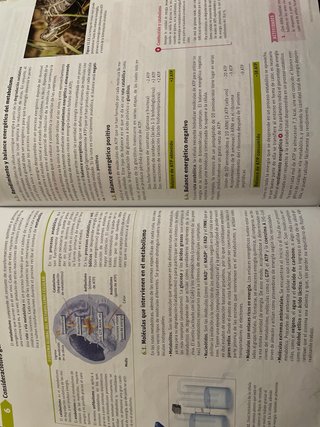 Biología, 2 Bachillerato