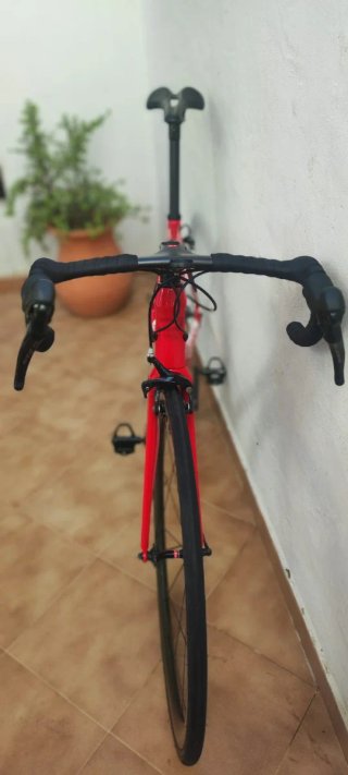 Bicicleta Ridley Fénix Carbono Migliorata
