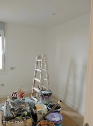 Pintor Profesional - Rubén