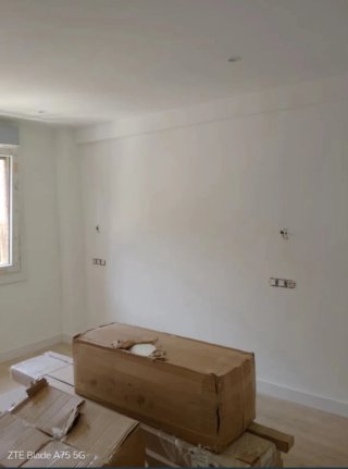 Pintor Profesional - Rubén