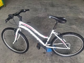 2 Biciclette Infantili (8-12 anni)