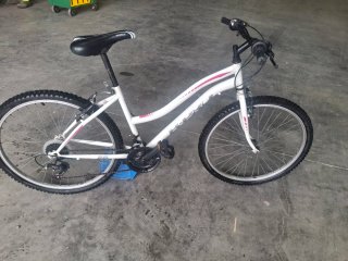 2 Biciclette Infantili (8-12 anni)