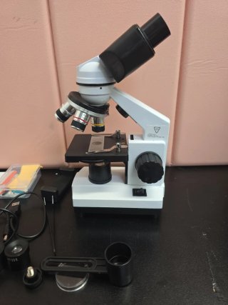 Microscopio Binocular