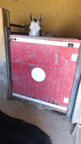 Puerta de cuadra para caballos