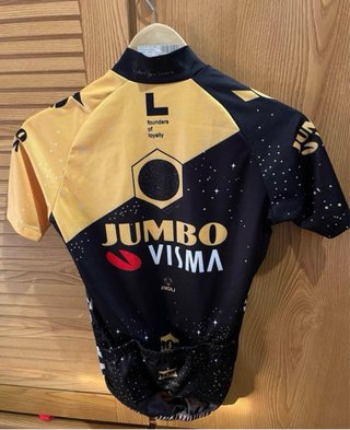 Lote 2 maillots ciclismo equipo Visma Lease
