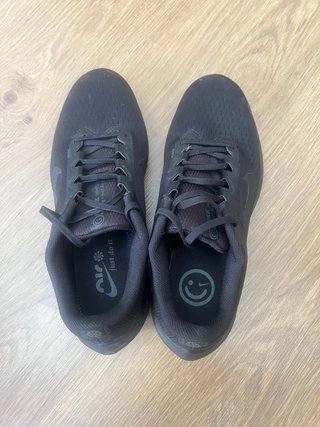 Zapatillas Nike Winflo 10