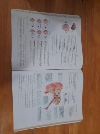 Biología y Geología : 3o ESO