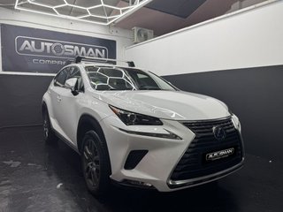 LEXUS NX 2.5 300h Business Navigation 2WD