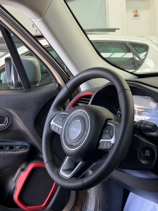 Jeep Renegade Jeep Renegade 2.0 Mjet Trailhawk 4x4 170CV Auto AD Low
