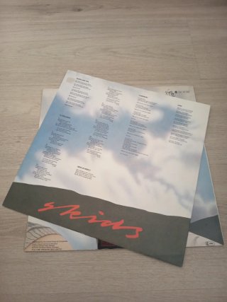SKIDS JOY LP Punk Rock Vinilo