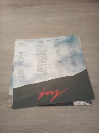 SKIDS JOY LP Punk Rock Vinilo