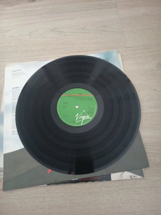 SKIDS JOY LP Punk Rock Vinilo