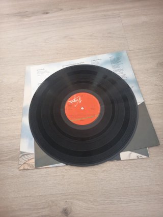 SKIDS JOY LP Punk Rock Vinilo