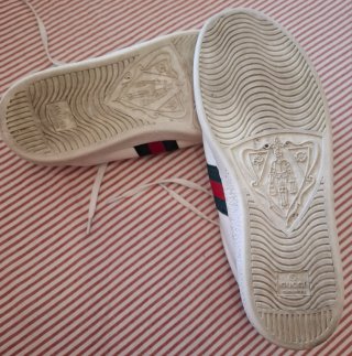 Zapatillas Gucci de cuero Blanco.