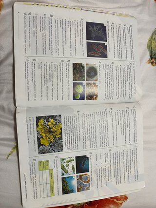 Biología Y Geología 1 Secundaria