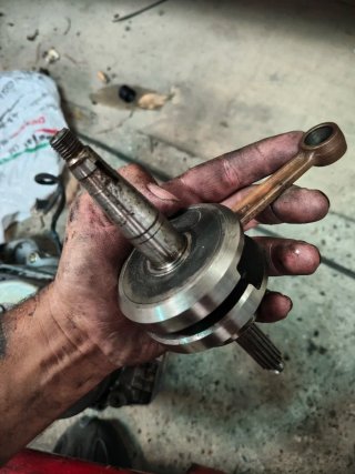 Despiece Derbi Variant